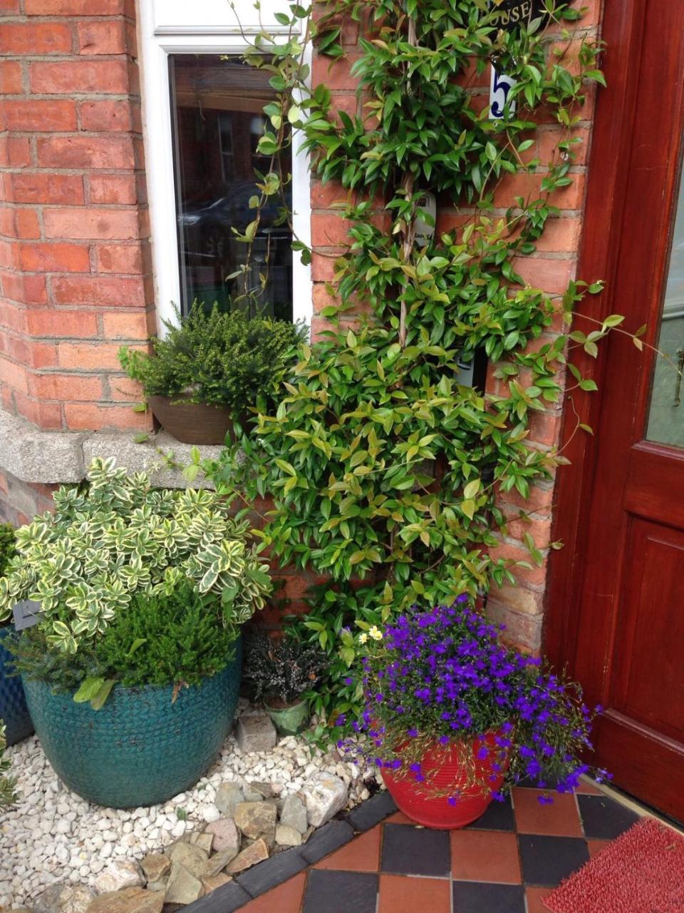 Acara House B&B Dublin Exterior foto